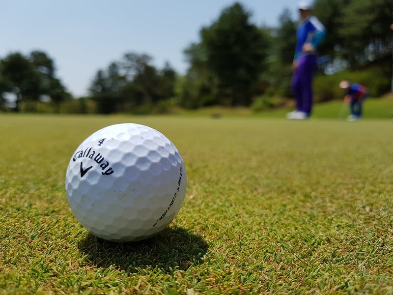 Golfer